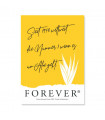 Firmenschild "Forever Aloe"