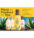Plant to Product to You - DIN A3-Hohlkammerplatte