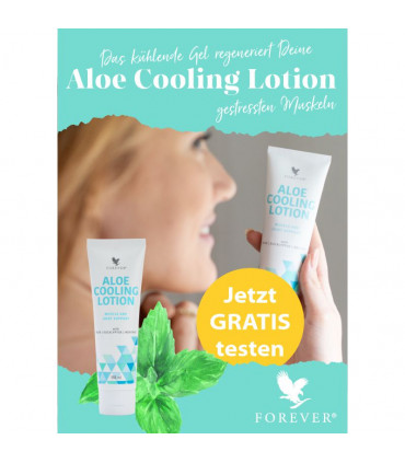 Produktmusterkarten-Set