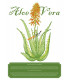 Aloe Vera Vintage – Plakat DIN A1