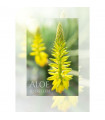 Aloe Blossom – Plakat DIN A1