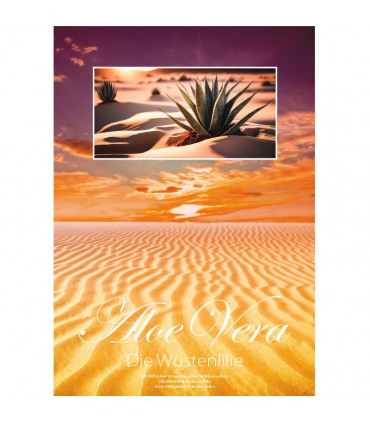 Die Wüstenlilie – Plakat DIN A1